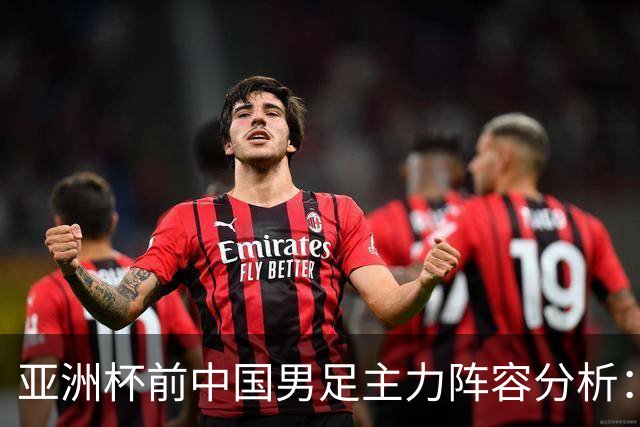 亚洲杯前中国男足主力阵容分析：中场调整与后卫新选择